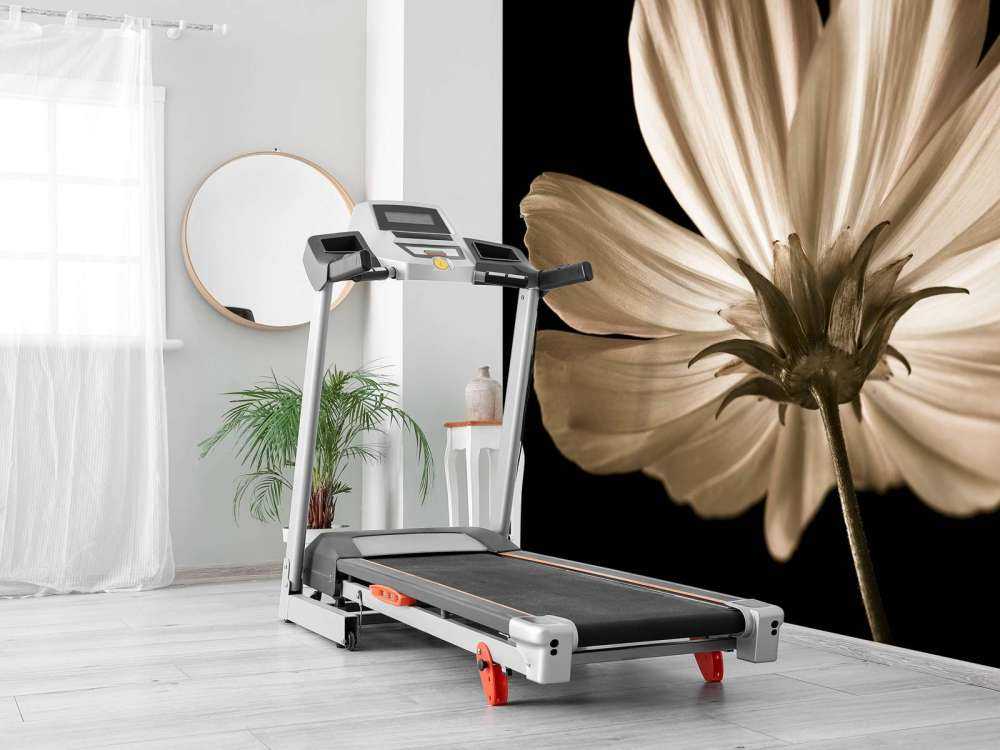 Cosmos bloem van onderen