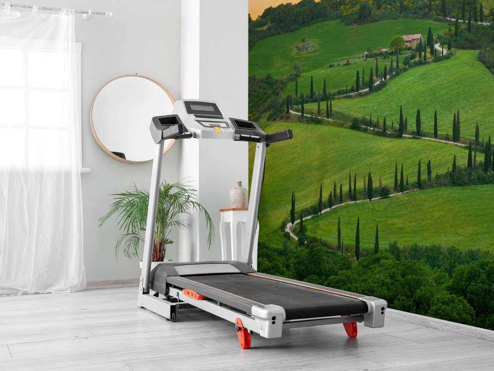 Slingerweg met cipressen