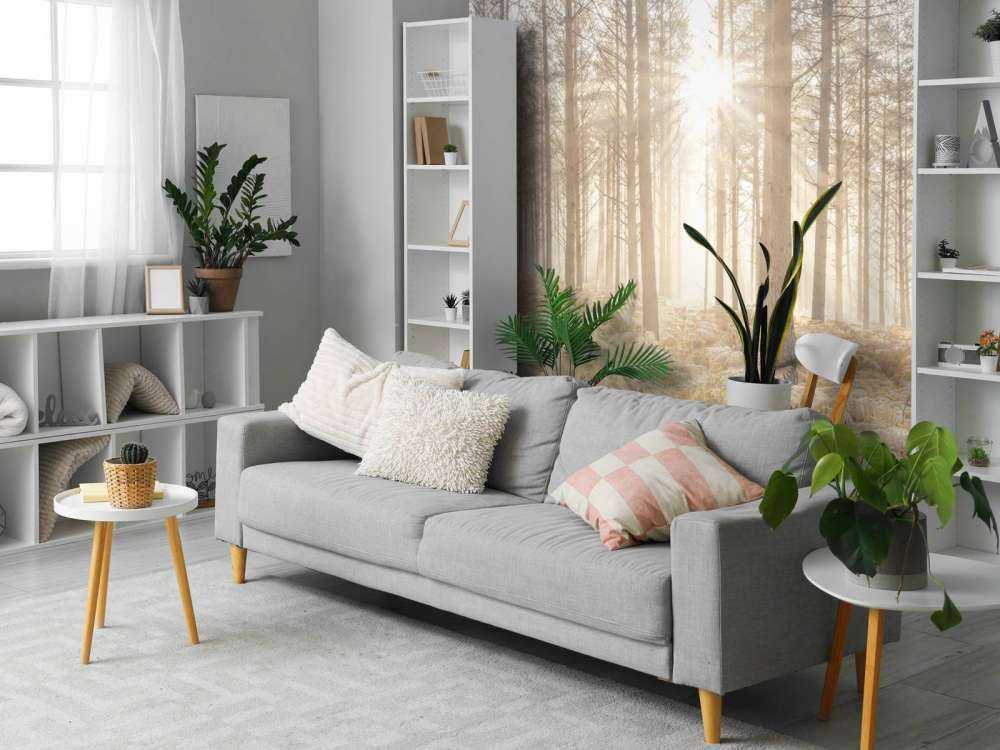 Zonnestralen in het koude bos