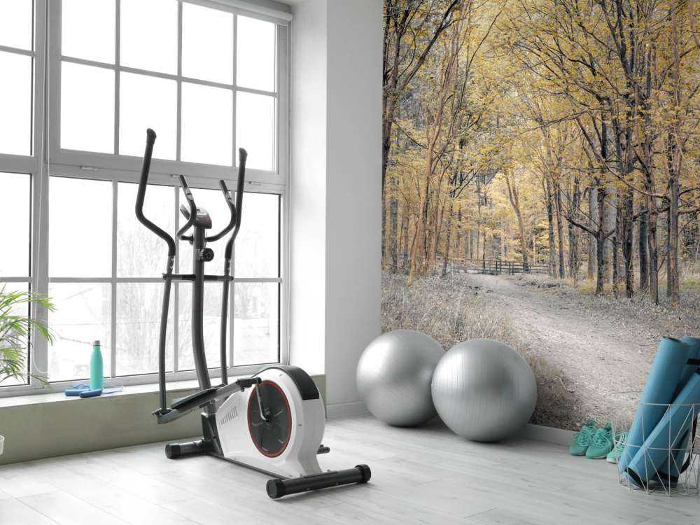 Bosweg tijdens de herfst