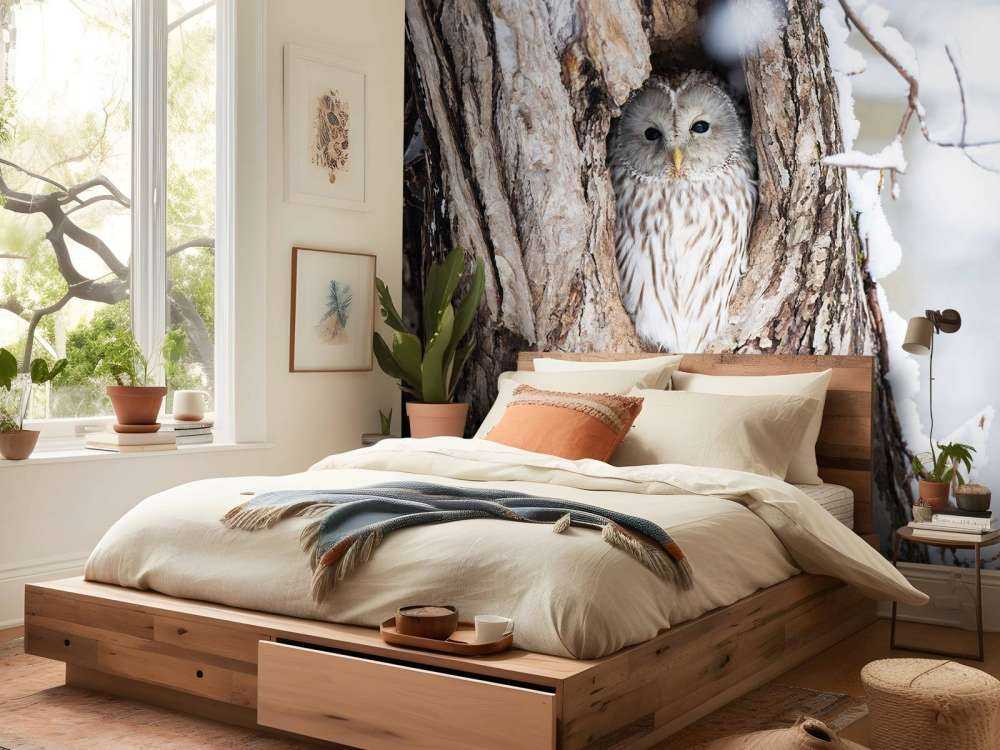 Witte uil in een holle boom