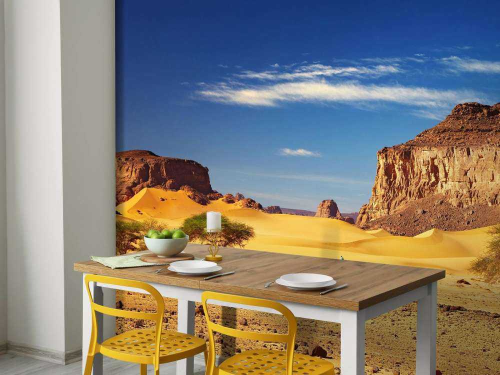 Woestijnlandschap met duinen en rotsen