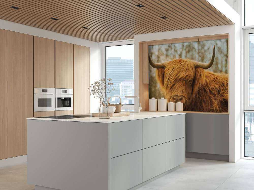 Schotse Hooglander bij zonsopkomst