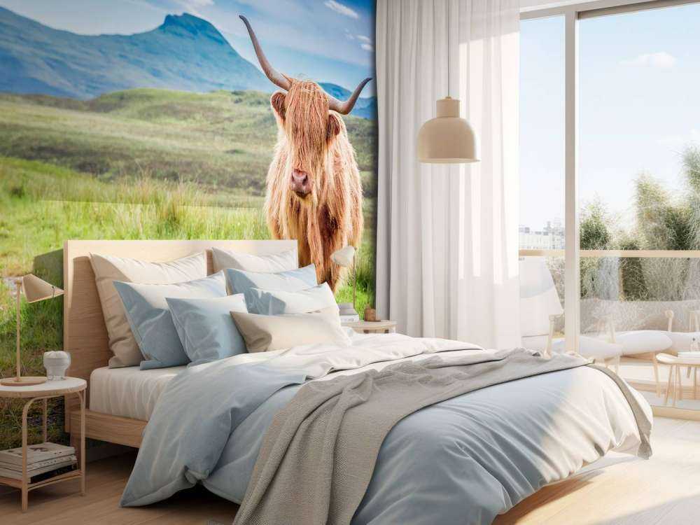 Schotse Hooglander in een berglandschap