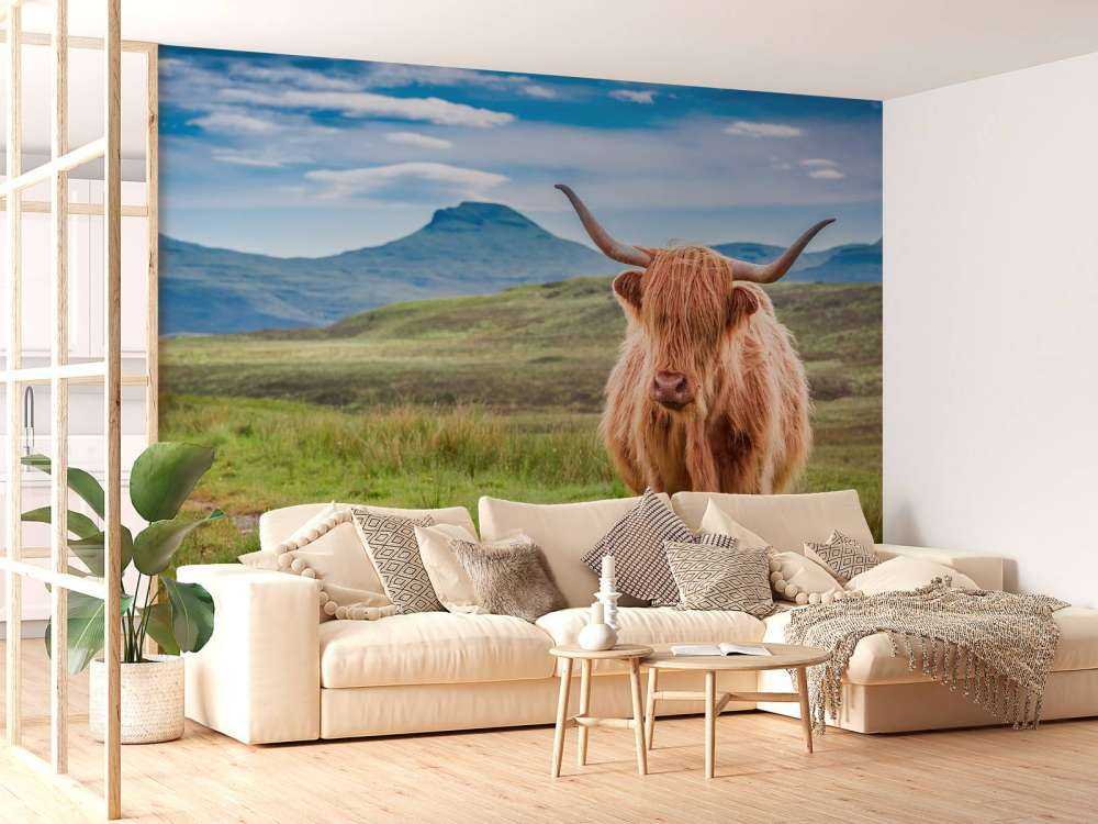 Schotse Hooglander in een berglandschap