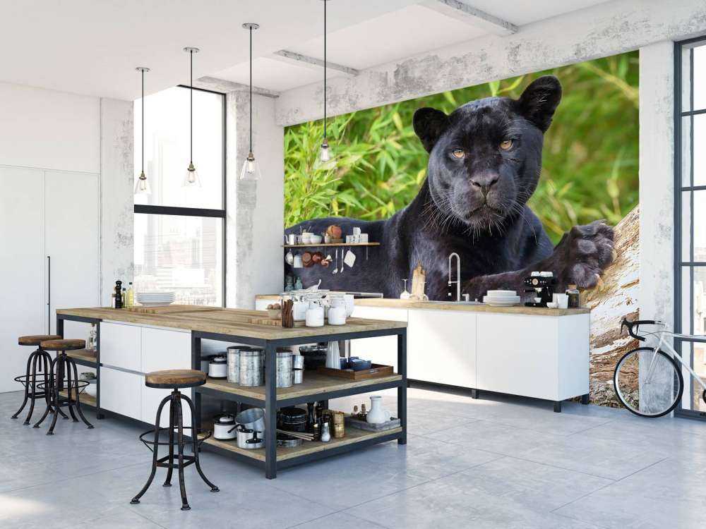 Zwarte panter op een boom