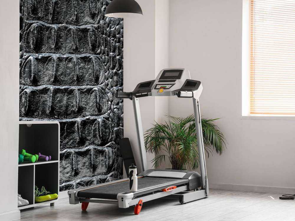 Krokodillen huid in het zwart