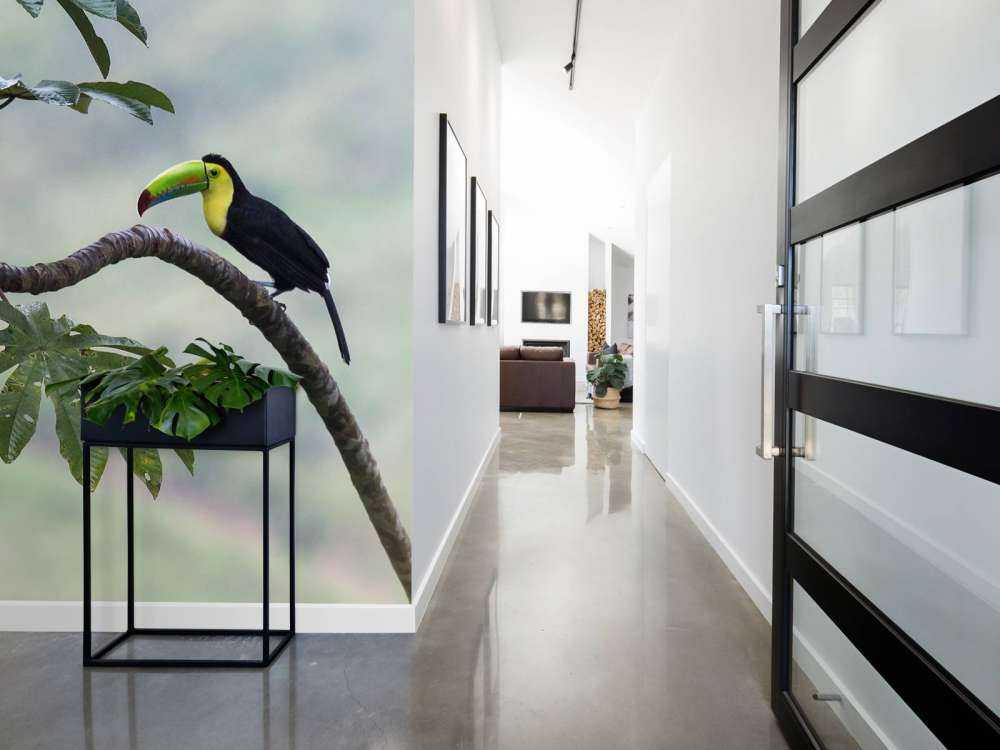 Exotische vogel op een tak