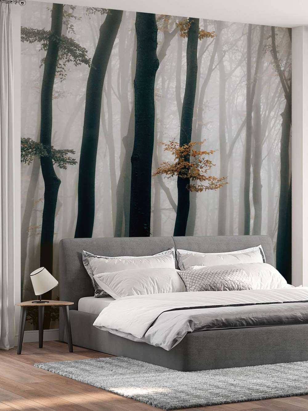 Mist in het beukenbos