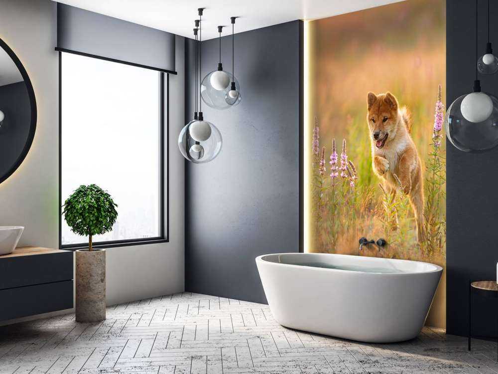 Shiba Inu in het veld