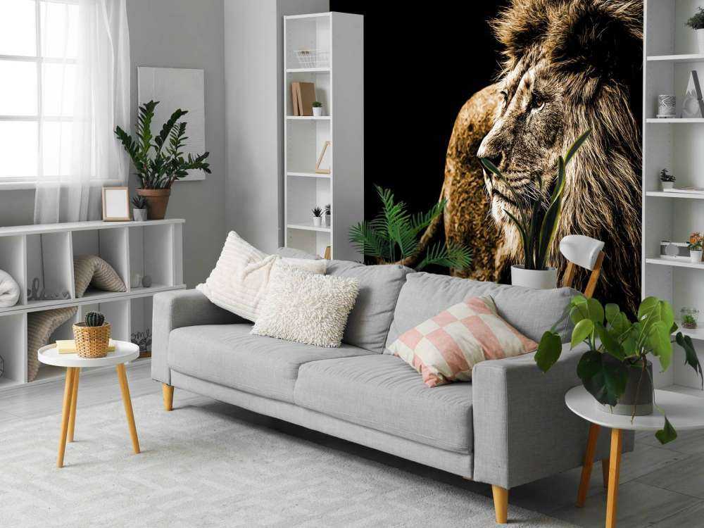 Harige leeuw met een zwarte achtergrond