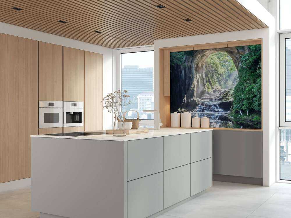 Opening in een regenwoud