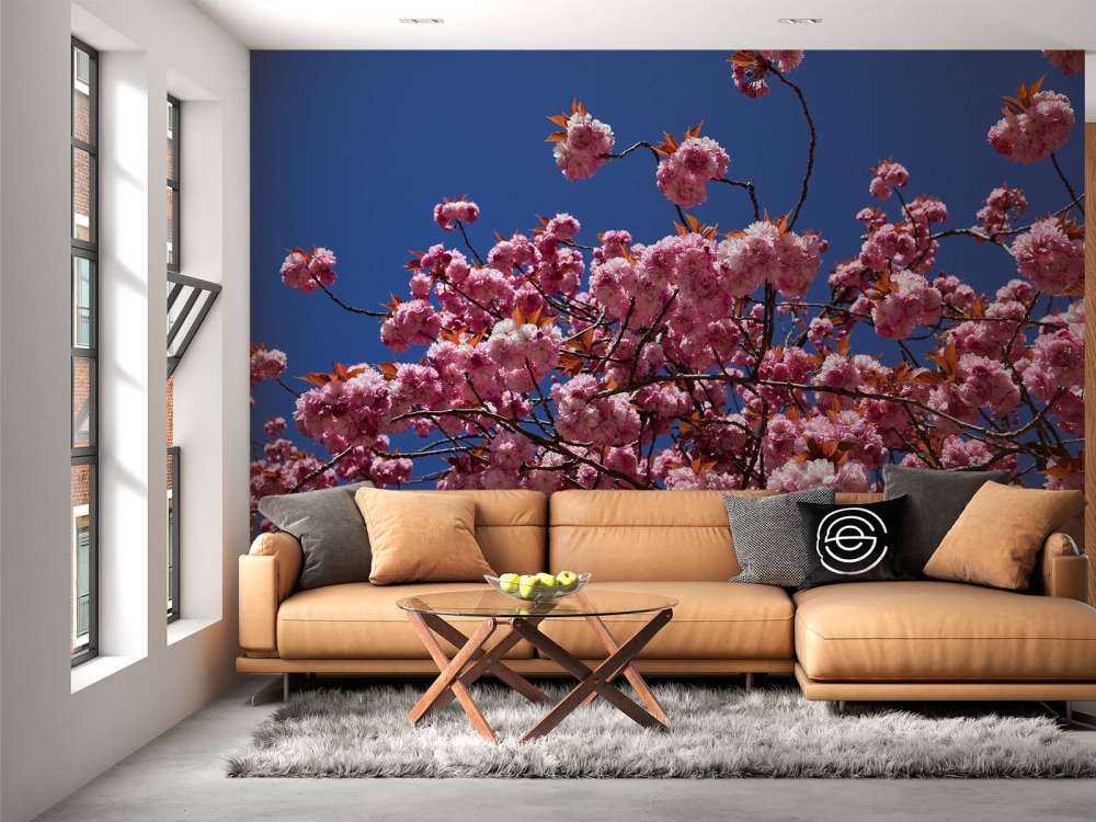 Roze bloesem met blauwe lucht