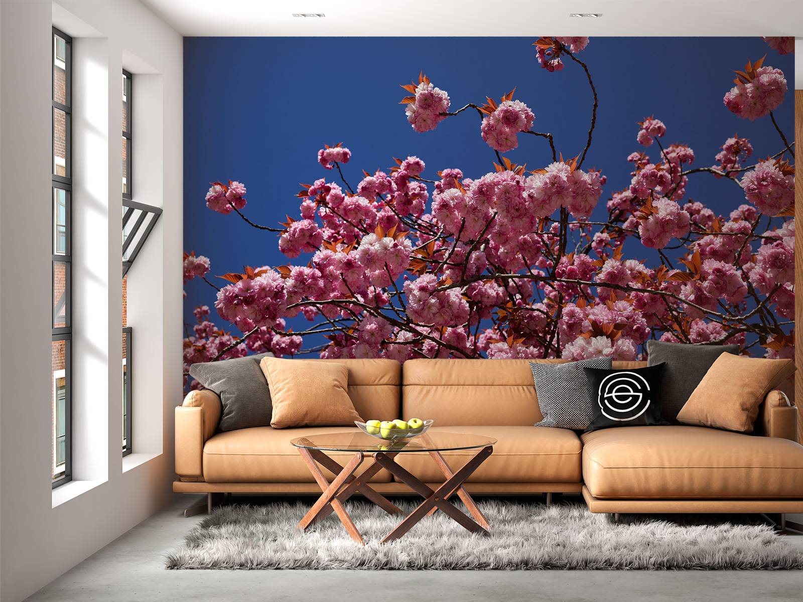 Roze bloesem met blauwe lucht