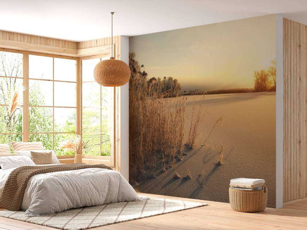 Riet op het strand bij zonsondergang