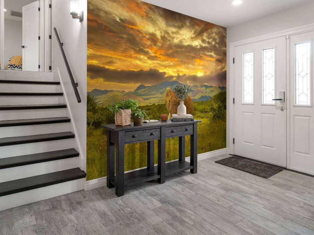 Olifant in Kenia bij zonsondergang