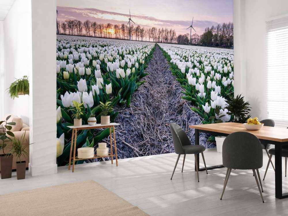 Wit tulpenveld