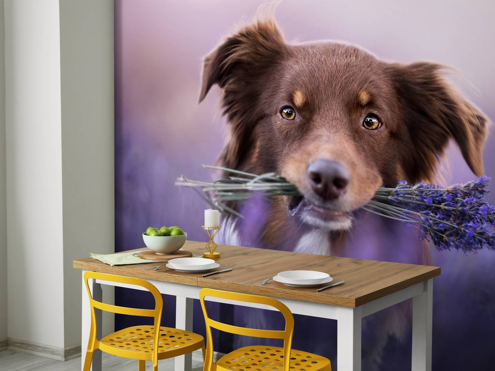 Hond met lavendel