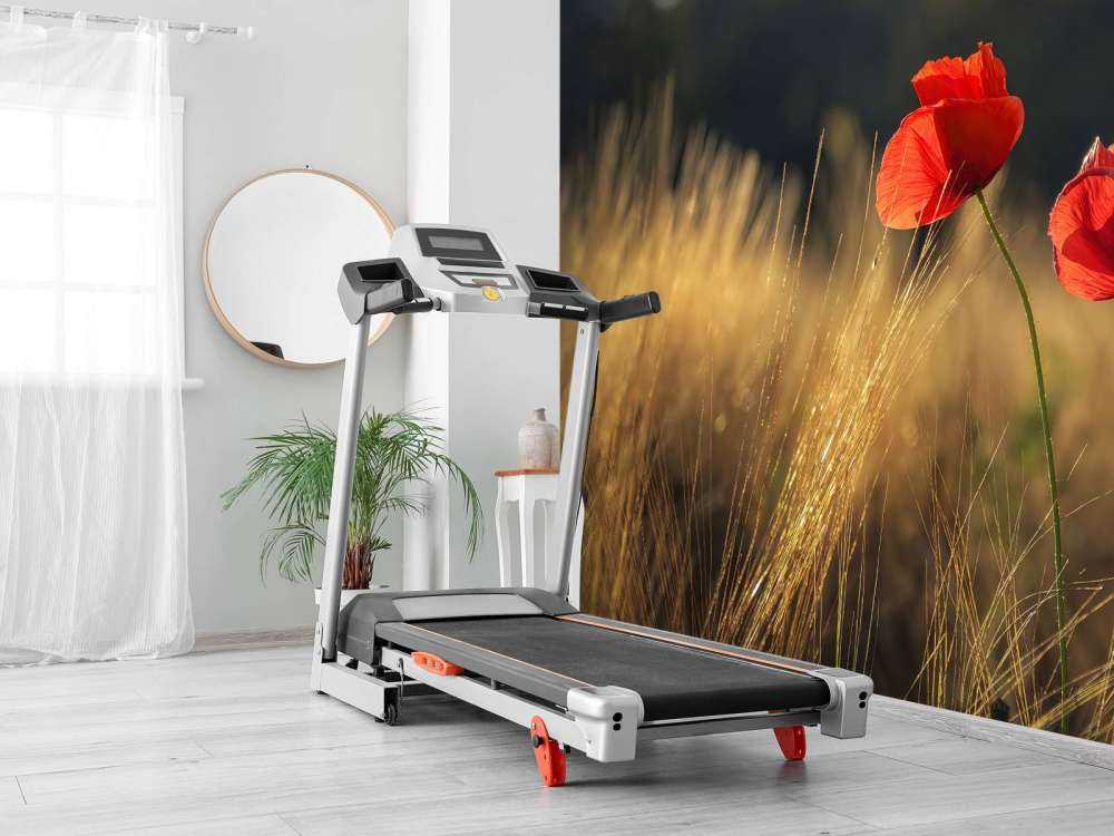 Klaprozen in een tarweveld