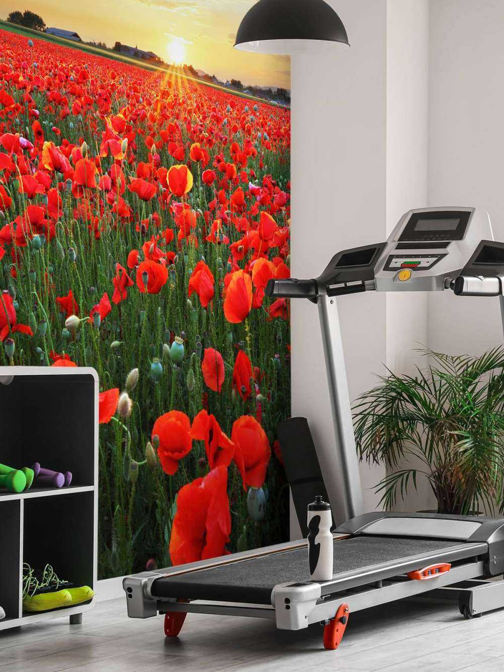 Klaprozen bij ondergaande zon