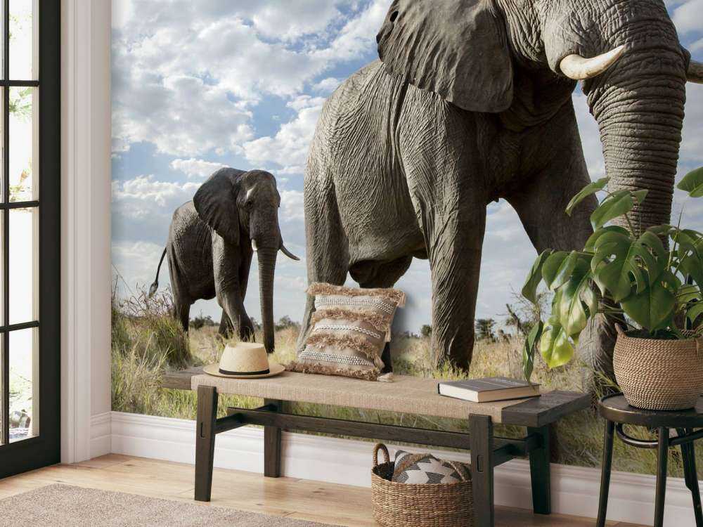 Passerende olifanten