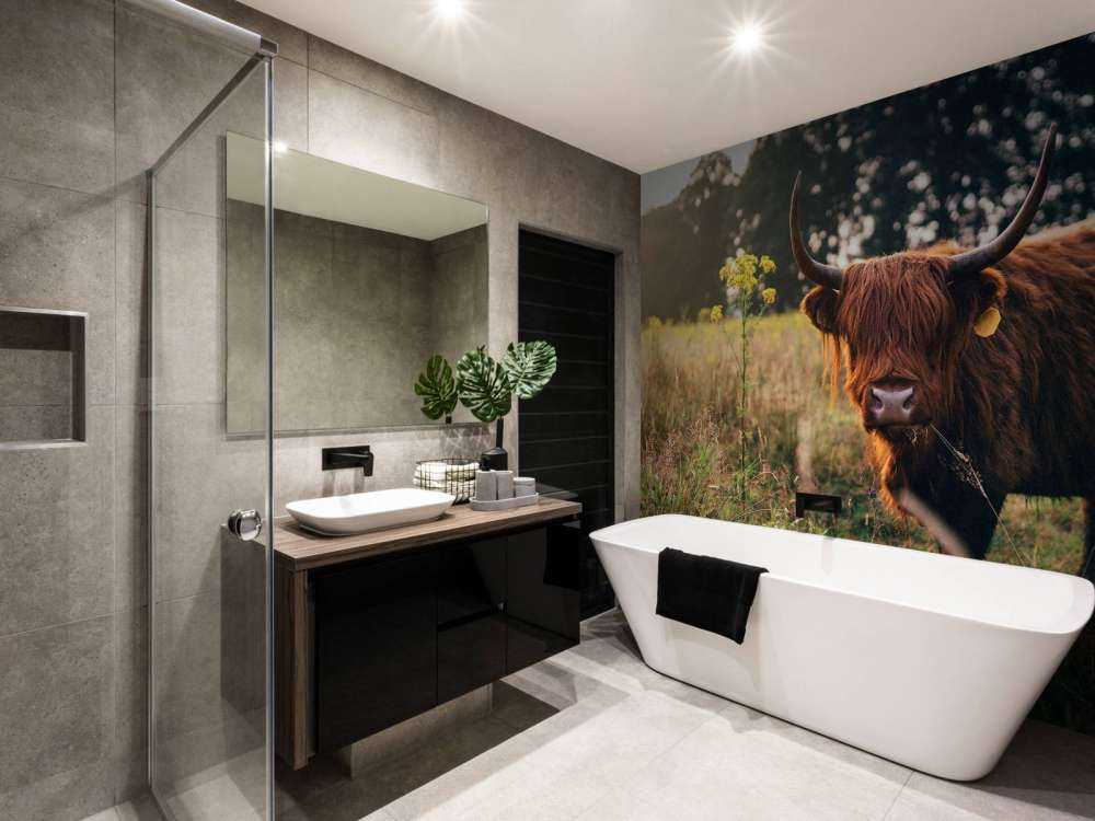 Schotse hooglander in het hoge gras