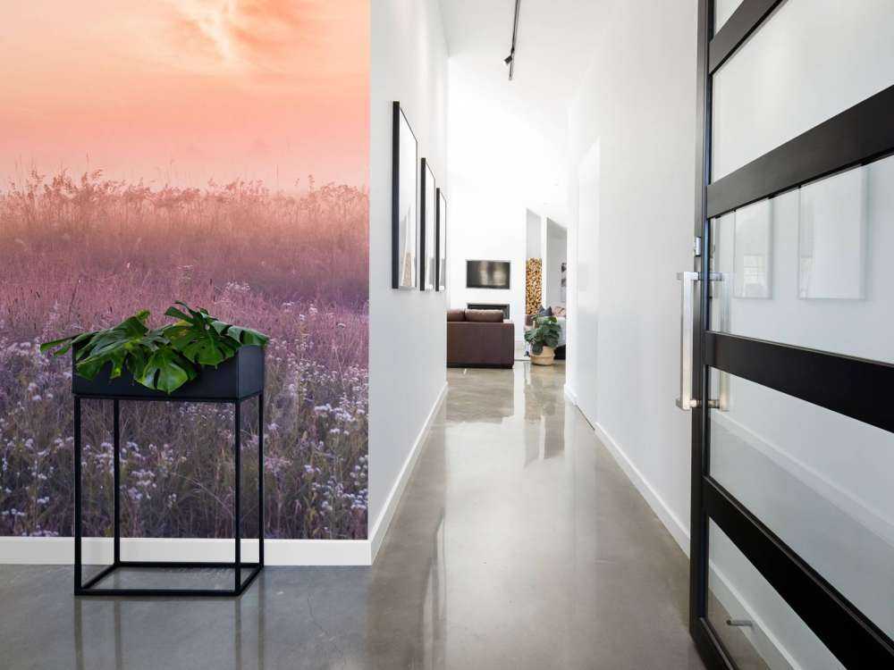 Veld met ochtendnevel