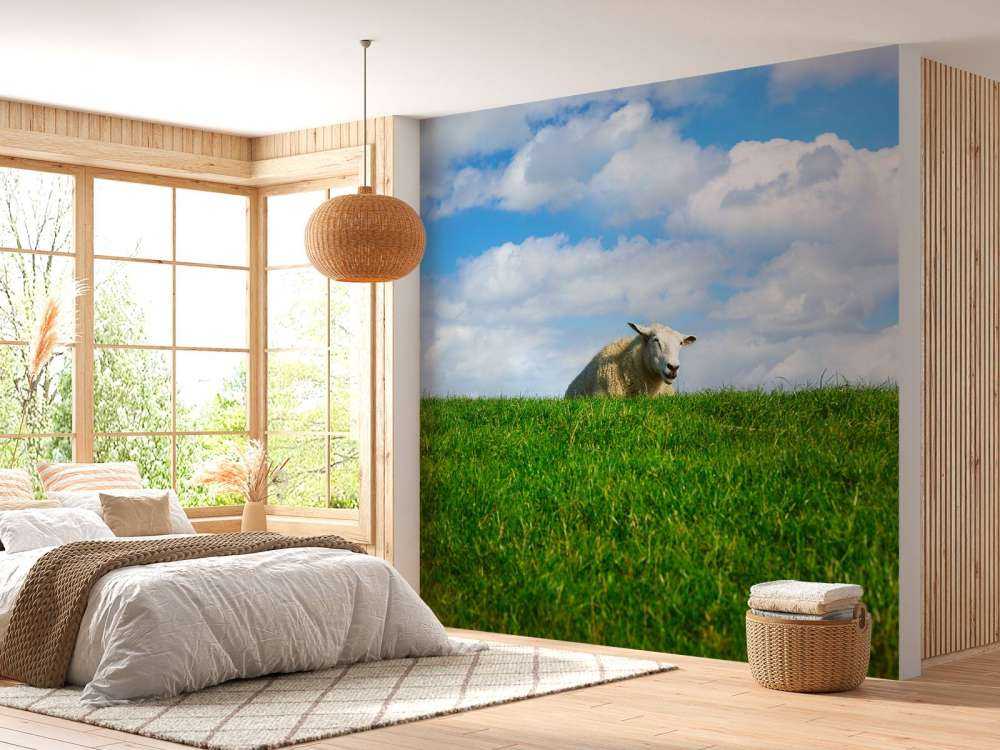 Schaap op de dijk