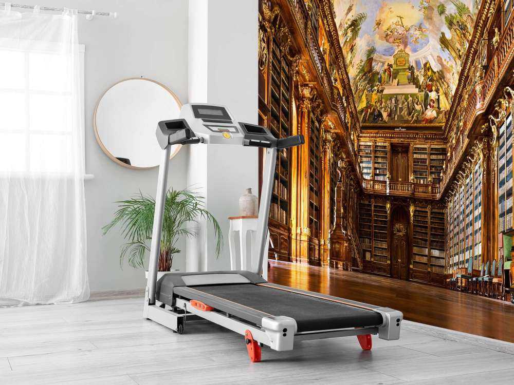 Historische Bibliotheek in Warm Hout