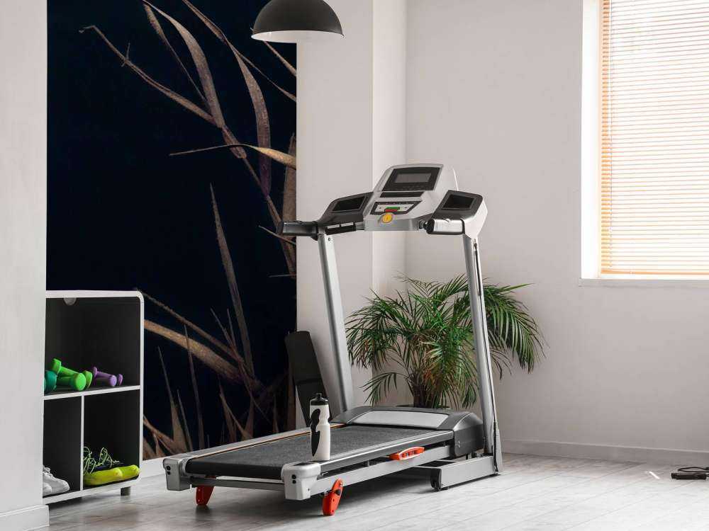 Verdorde Rietstengels aan het Water