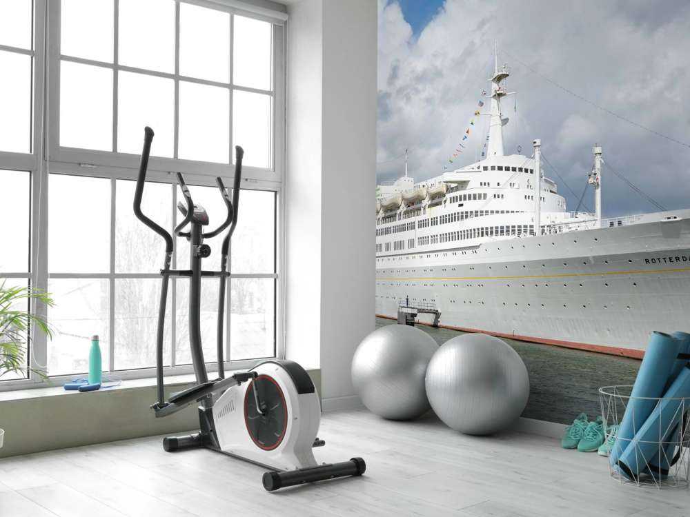 Stijlvolle oceaanreus in de haven