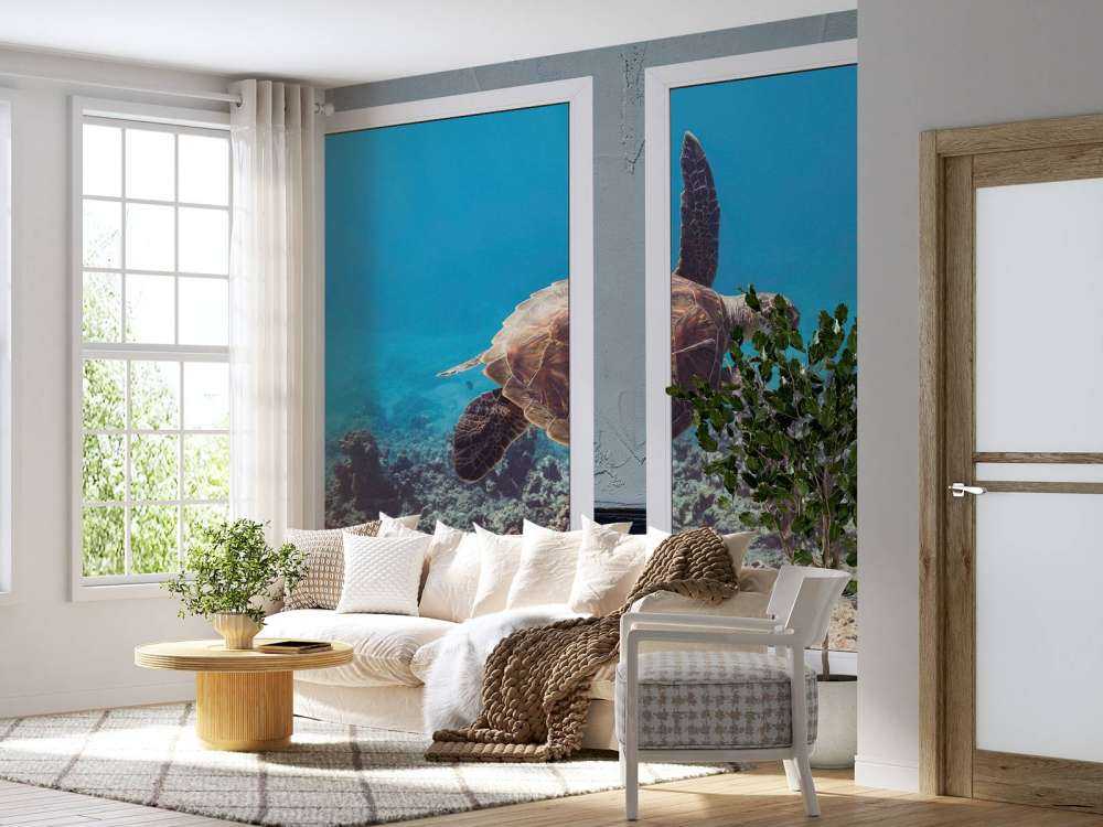 Zeeschildpad boven koraalrif