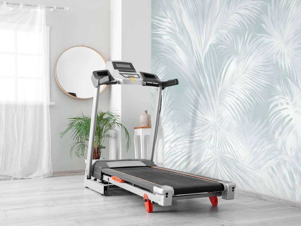 Palm Extravaganza Ocean