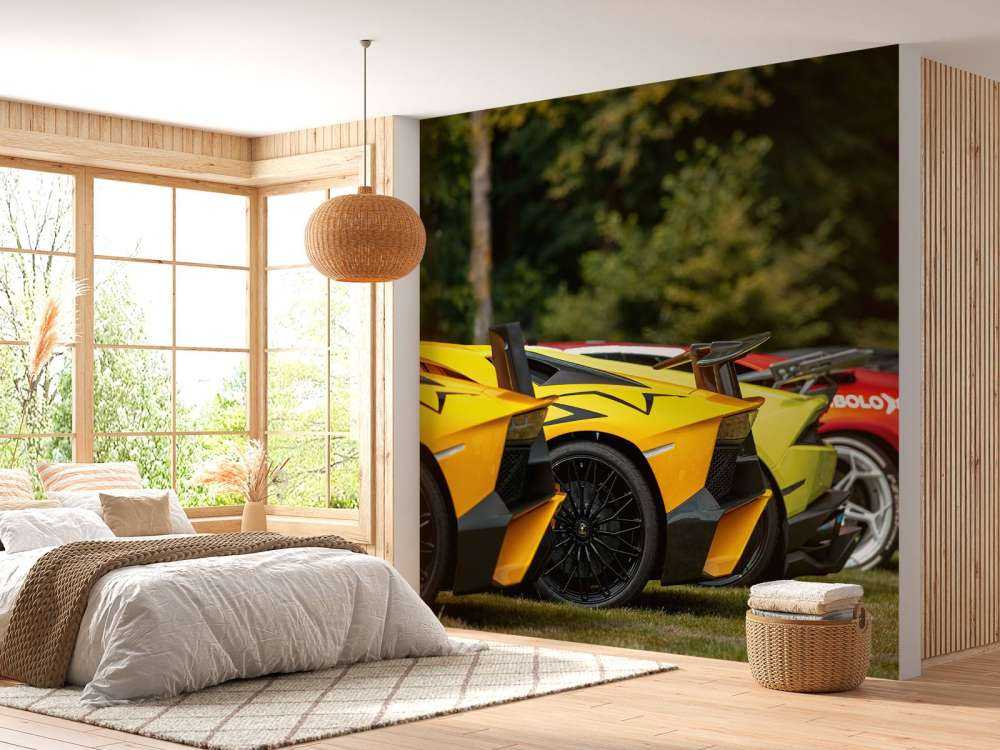 Supercars collectie in de natuur