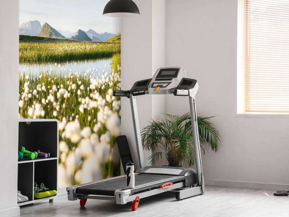 Zomerlicht over bloemrijk veenlandschap