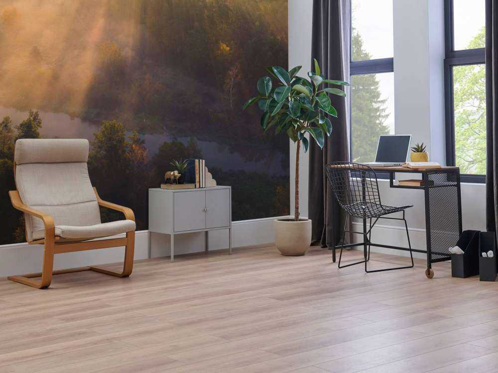 Dromerige Ochtendmist in de Natuur