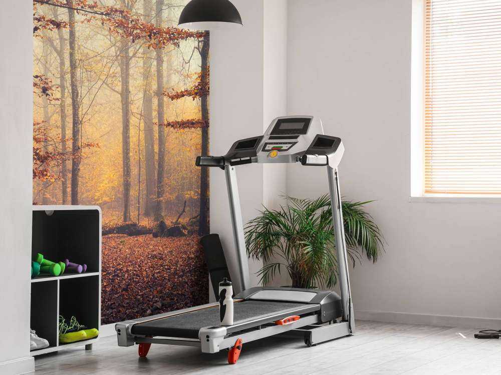 Herfstbos in Gouden Mist