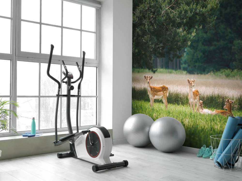 Vredige Weide met Wilde Hertjes