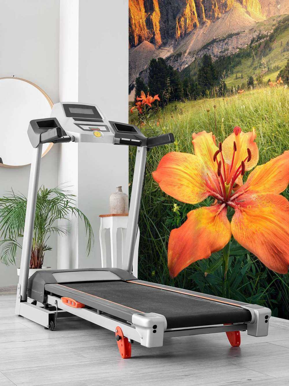 Vurig Alpenlandschap met Lelies