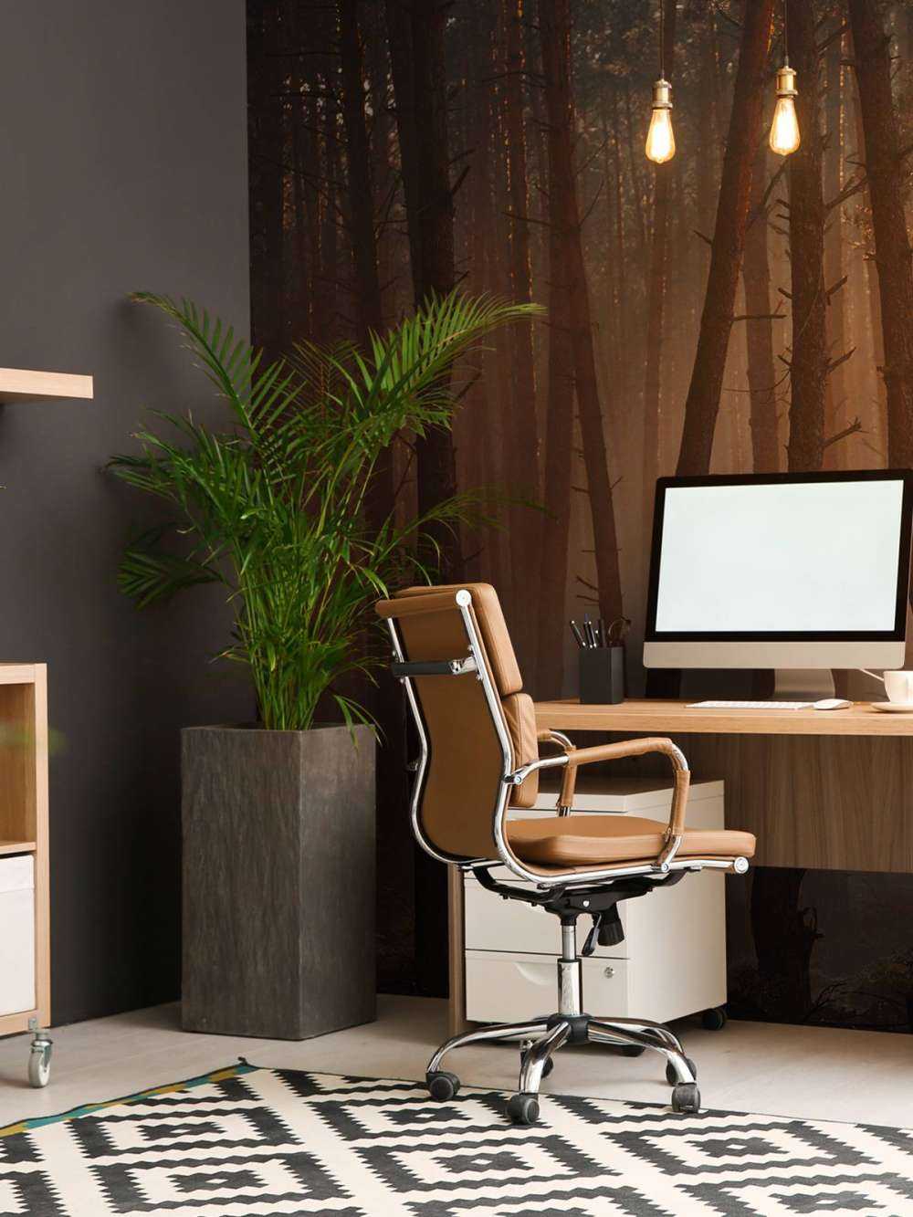 Lichtstralen door het Woud