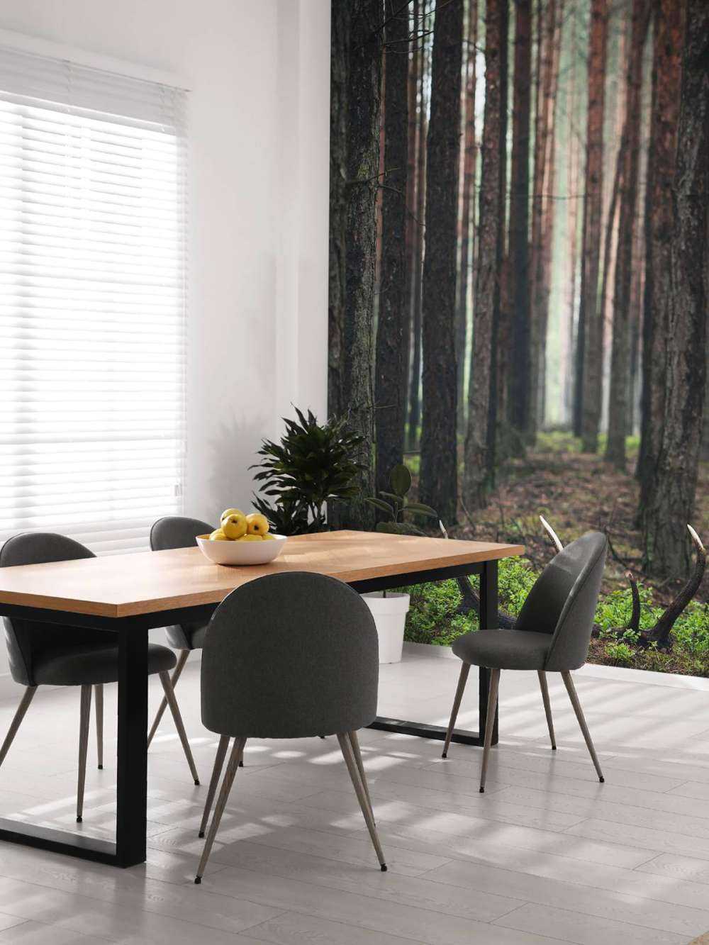 Wild en Mysterie tussen de Bomen