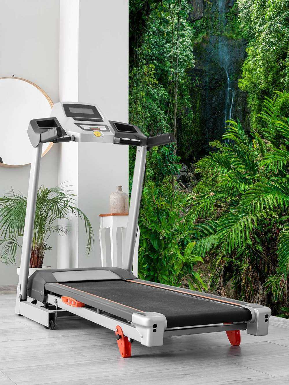 Jungle en stenen