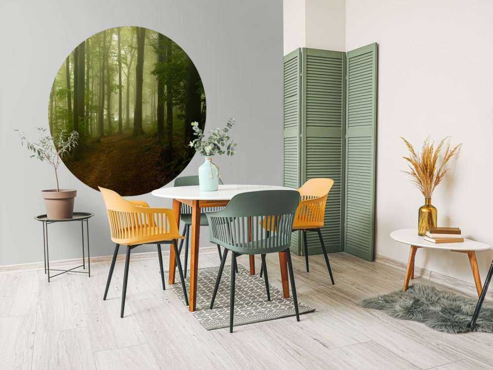 Pad door mistig groen bos