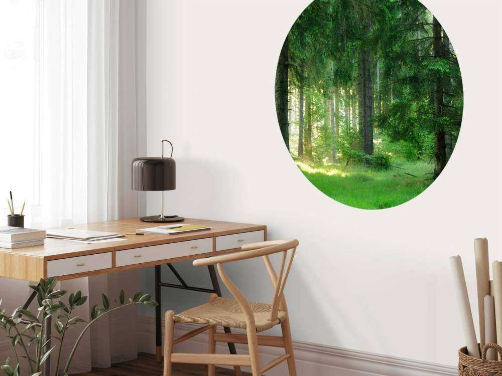 Groen naaldbomen bos