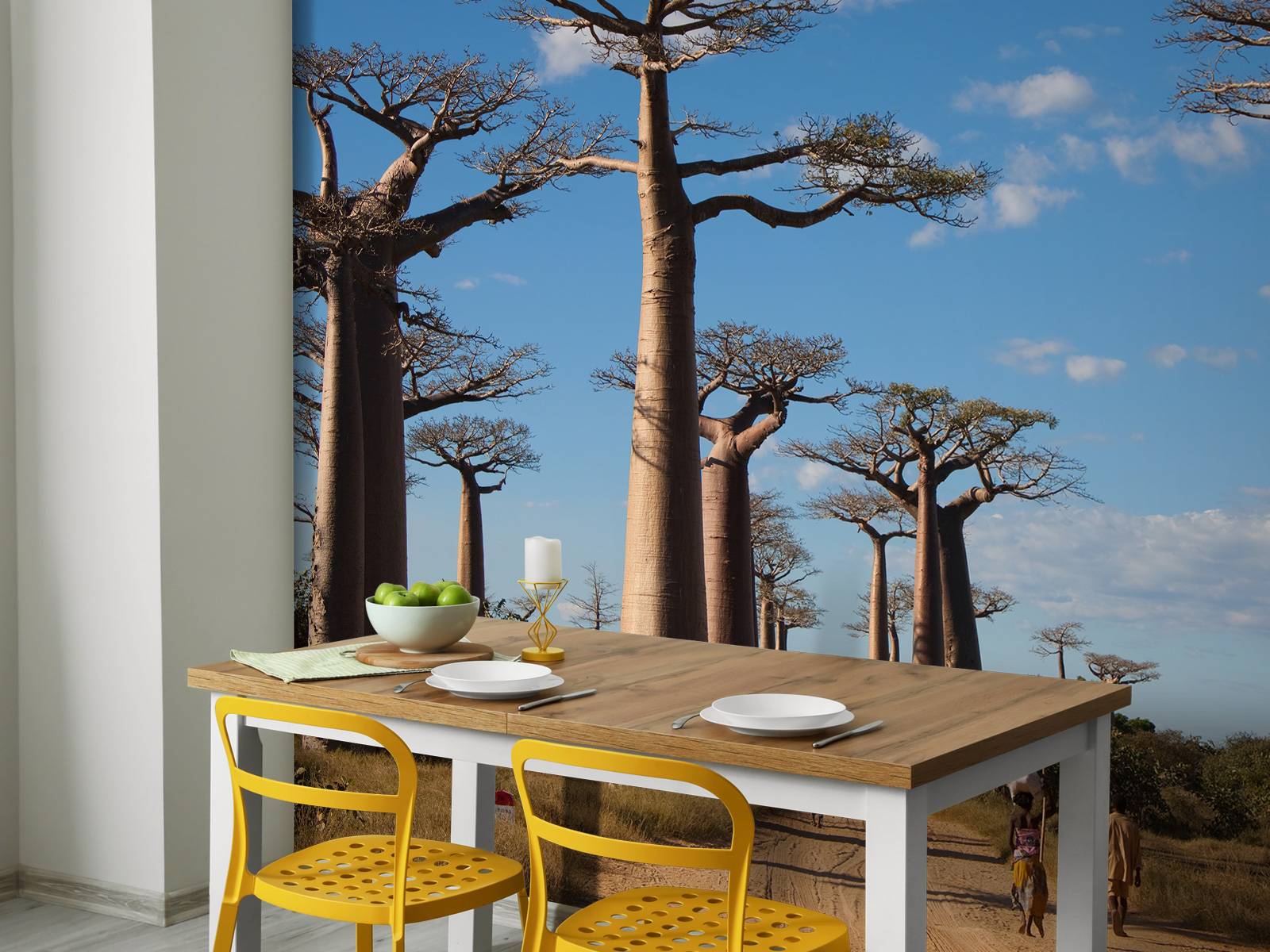 Baobab bomen