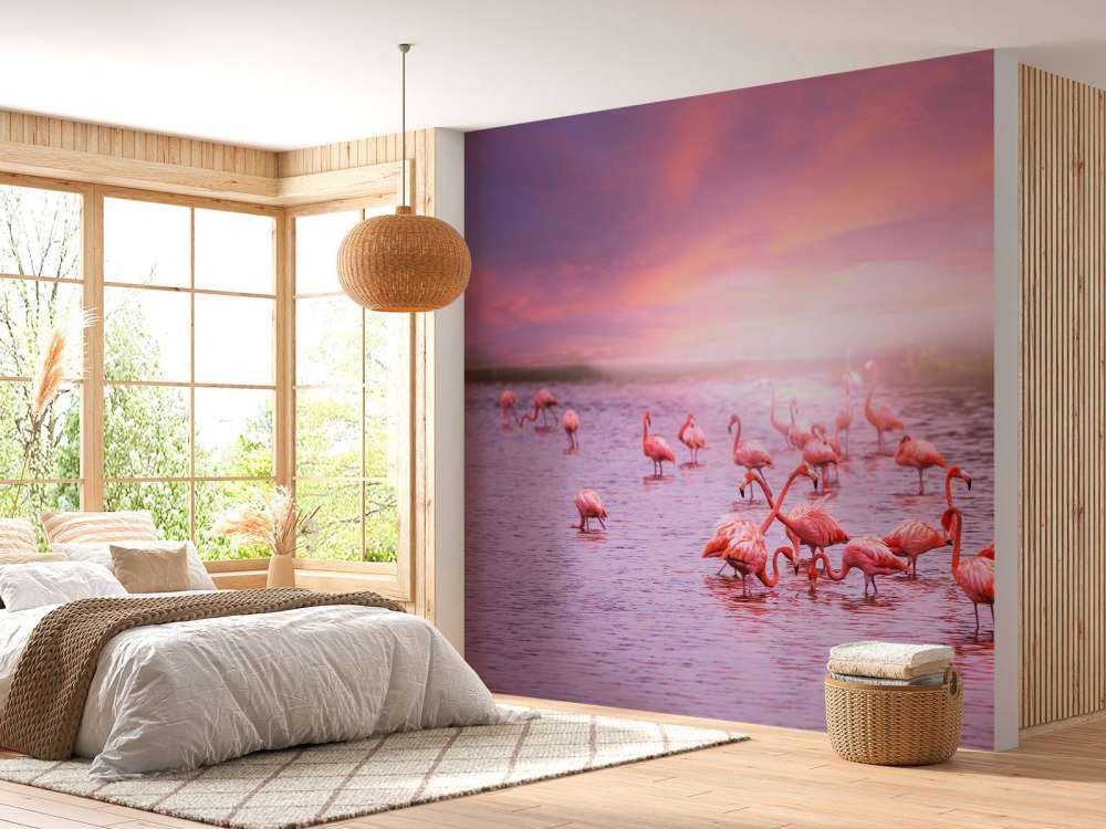 Flamingo's met zonsondergang