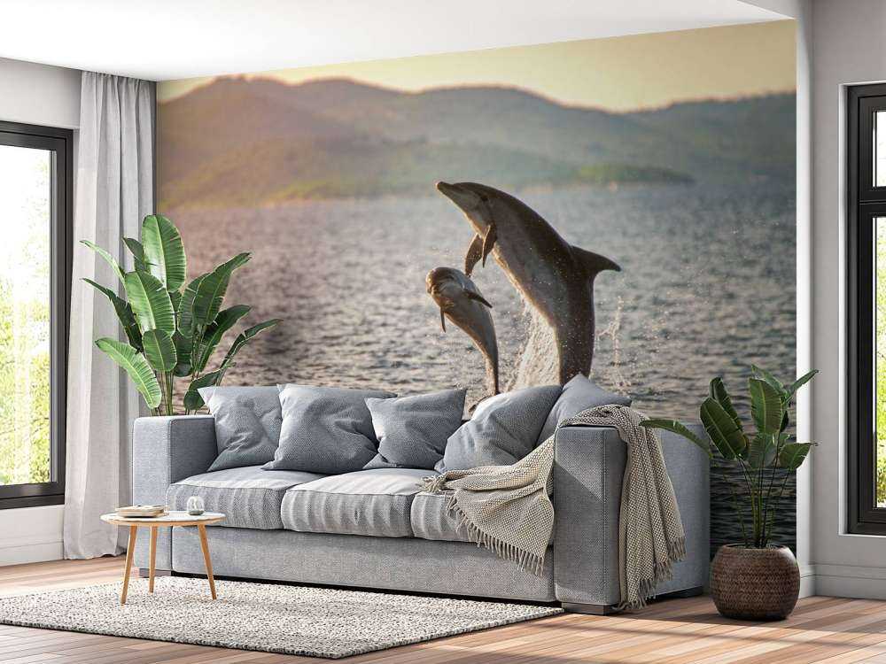 Twee springende dolfijnen