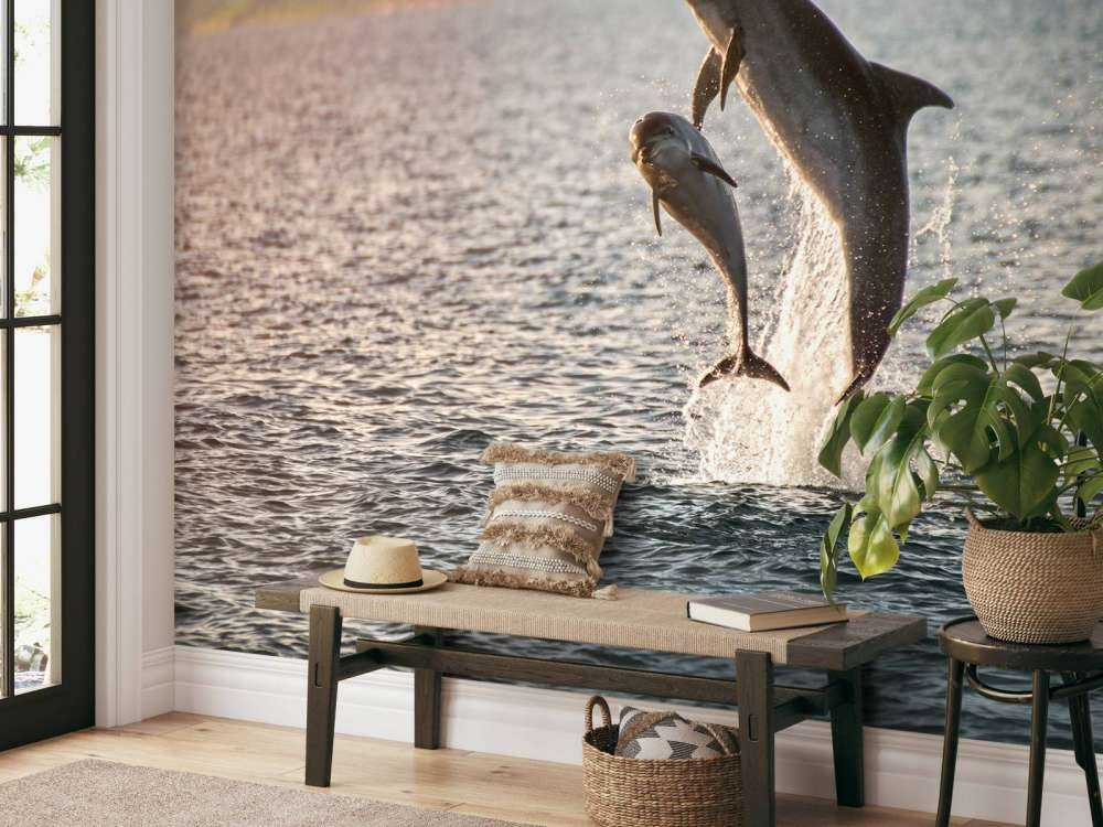 Twee springende dolfijnen