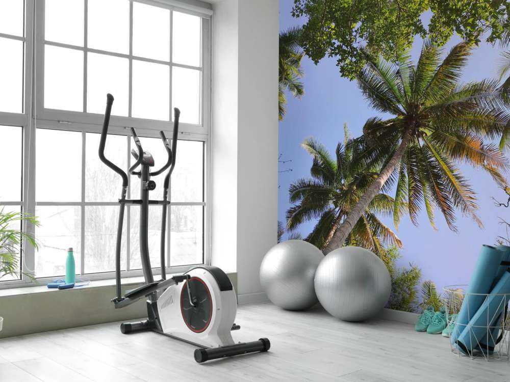 Palmbomen van onderaanzicht