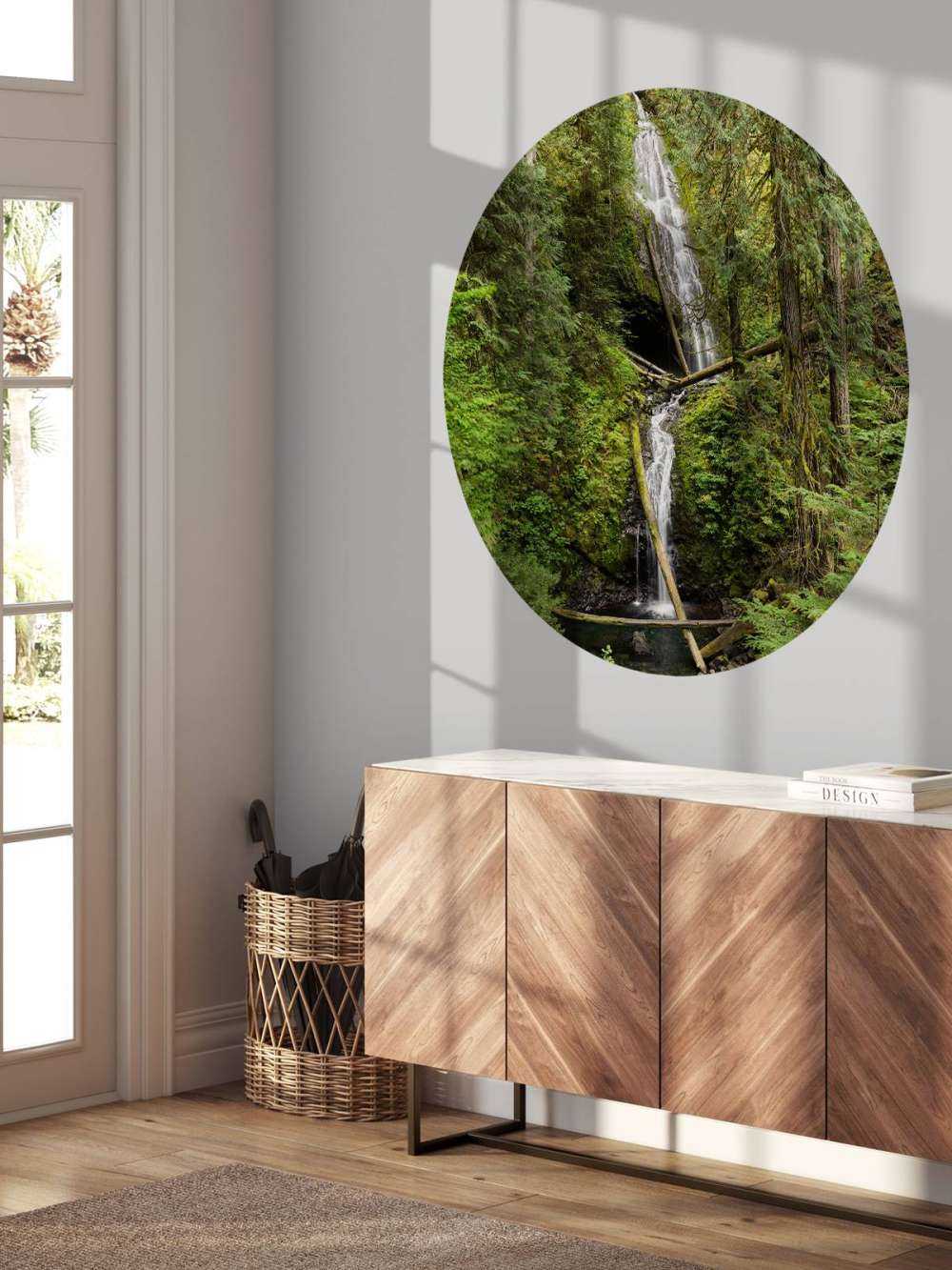 Waterval met omgevallen bomen